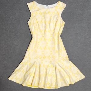 Nanette Lepore Brocade Lace Overlay Drop-Waist Mermaid Mini Midi Tank Dress